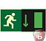 Знаки П/Б  Указатель двери эвакуационного выхода (правосторонний ) (150х300) (фотолюминесцентный)