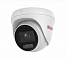 HiWatch DS-I253L (2.8)
