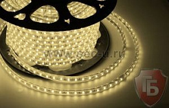 LED лента Neon-Night, герметичная в силиконовой оболочке, 220V, 10*7 мм, IP65