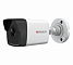 HiWatch DS-I250 (4.0)
