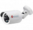 AC-D2121IR3 v2 (2,8 мм) IP-Видеокамера