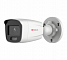 HiWatch DS-I450L (2.8)