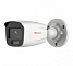HiWatch DS-I450L (4.0)