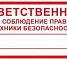 Знак «Ответственный за соблюдение правил техники безопасности», B01 (пленка, 200х100 мм)