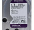 Жесткий диск 4TB WD Purple (WD43PURZ)
